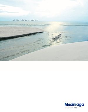 Annual Report 2008 cover