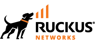 Enterprise Networking & Mobility Wireless partner 14